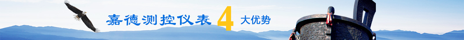  锅炉双色水位计