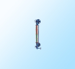 辽阳就地液位计