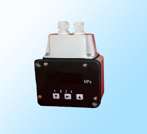 高压磁浮子液位计 高压磁浮子液位计